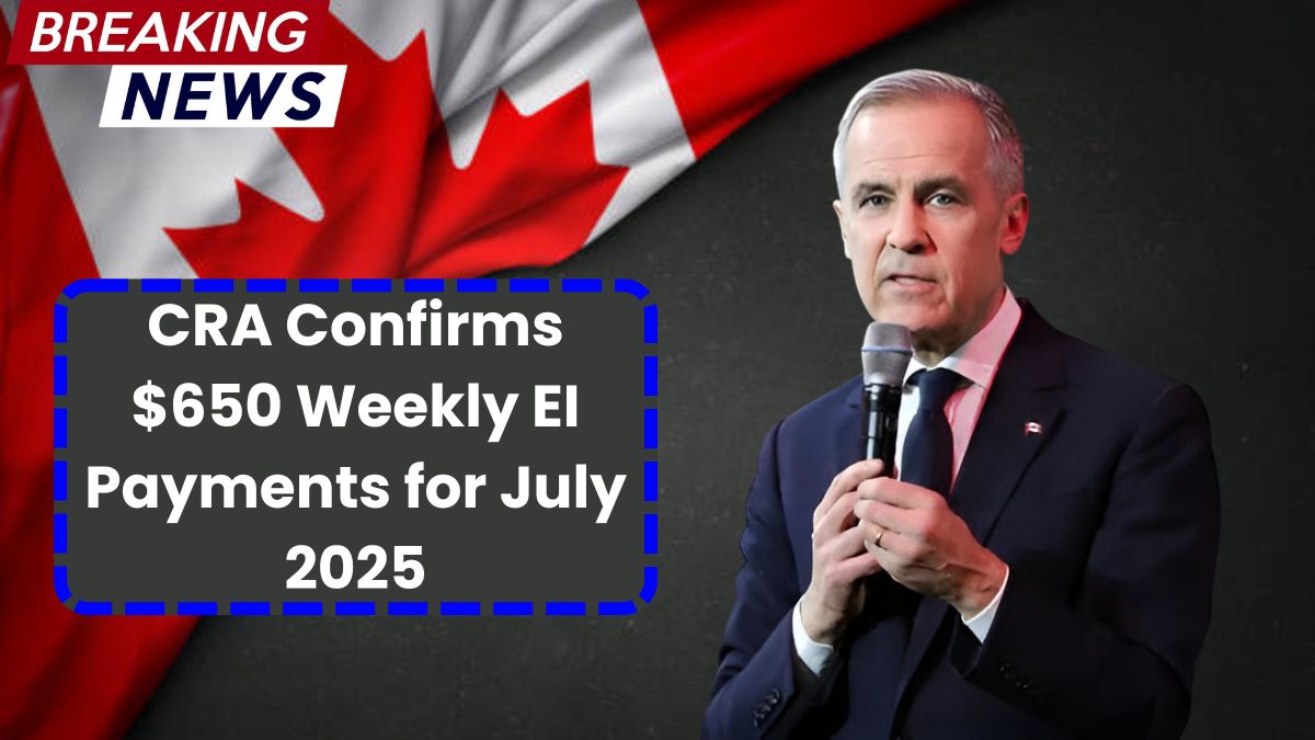 CRA Confirms $650 Weekly EI Payments for July 2025 – Check If You Qualify